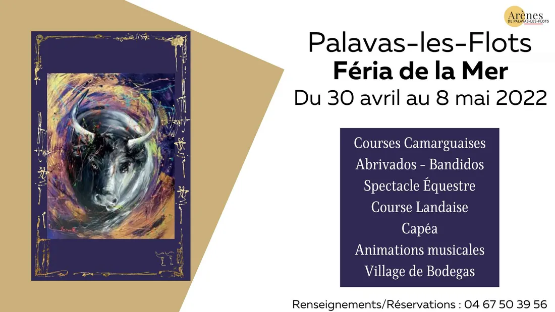 Féria de la mer de Palavas les Flots