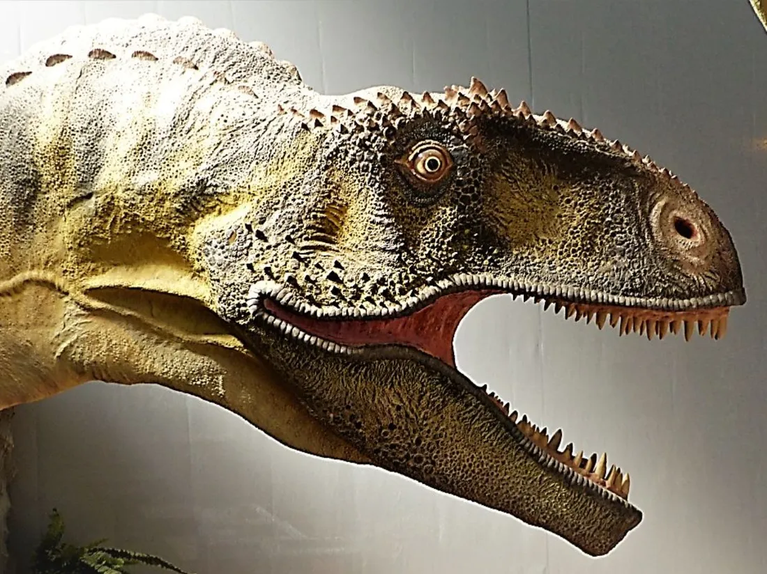 Le musée du Dinosaure d'Espéraza, dans l'Aude.