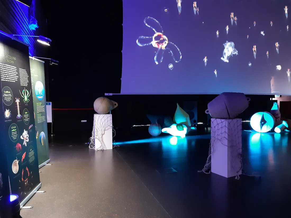 Expo Océan