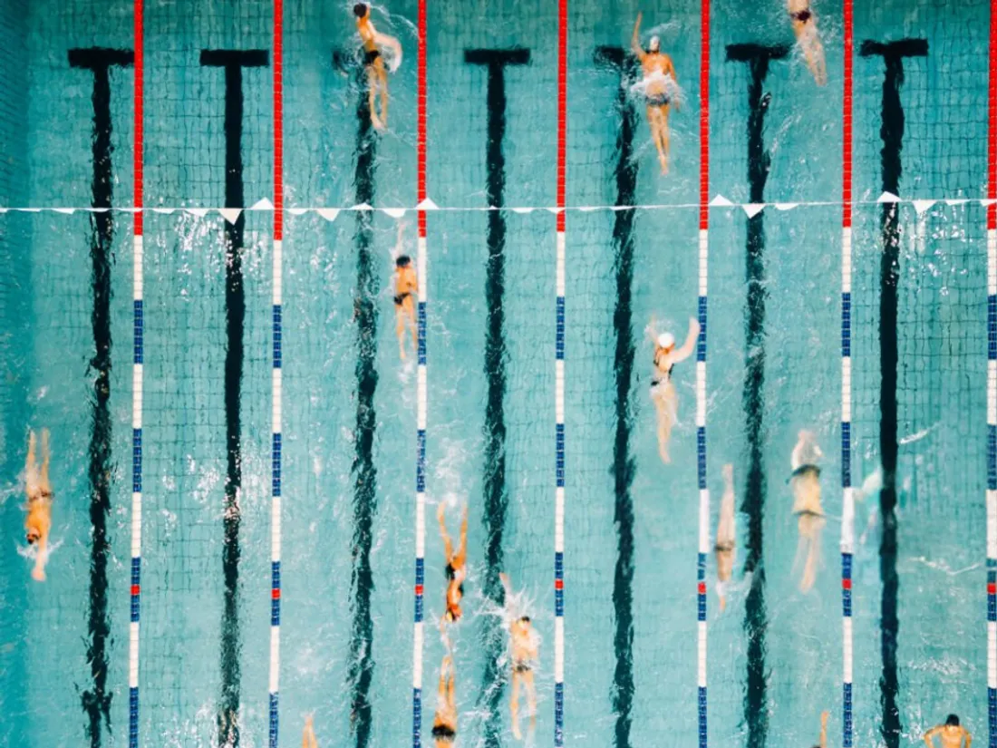 La natation, discipline prolifique pour les Français.