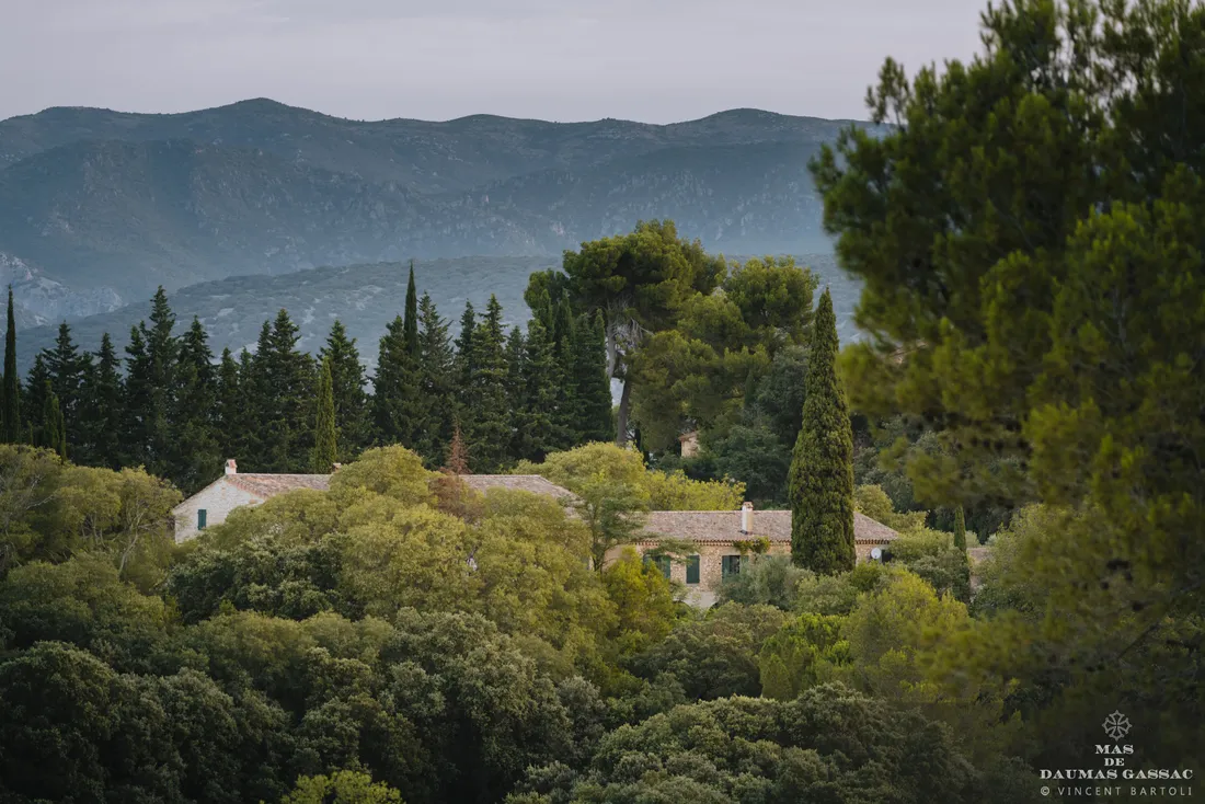 Mas de Daumas Gassac