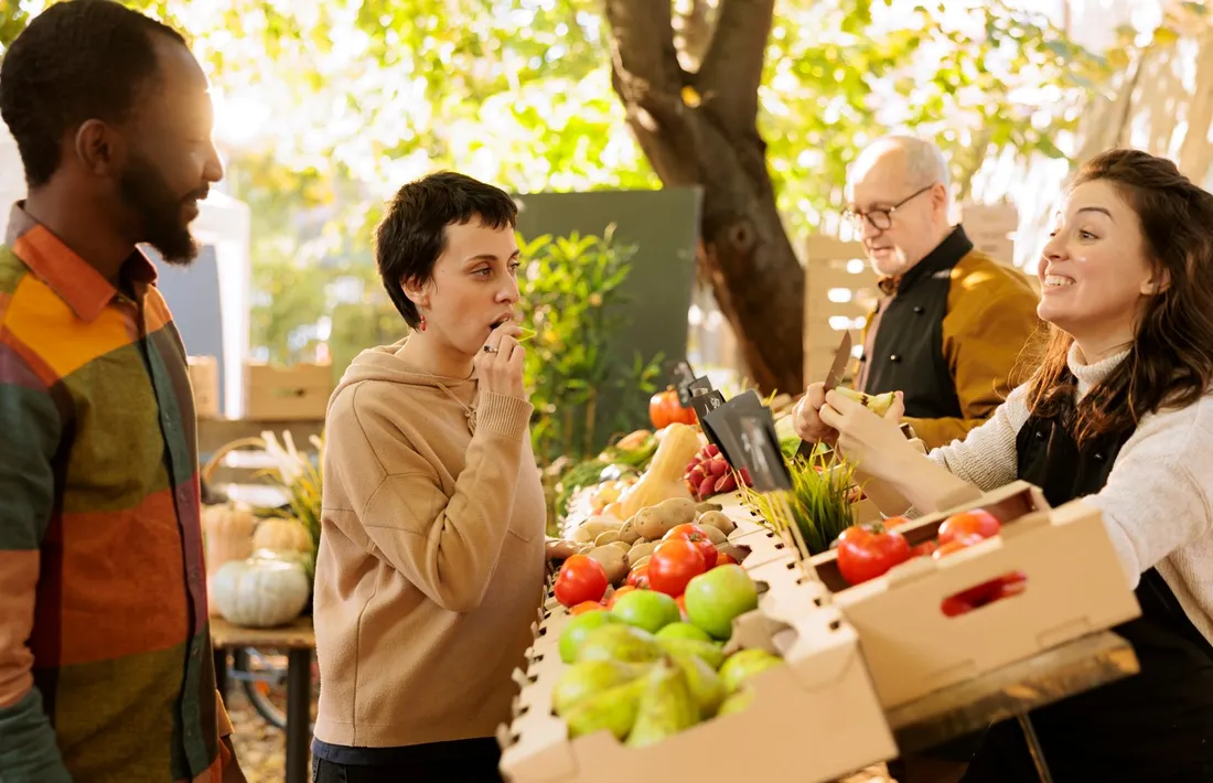 alimentation