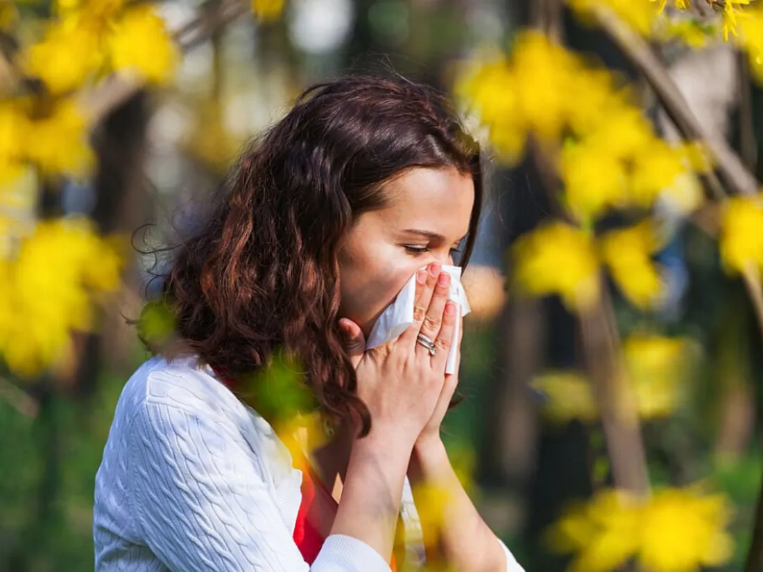 20% de la population souffre d'allergies.