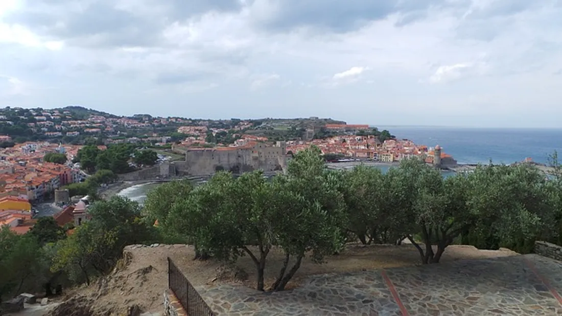 Collioure