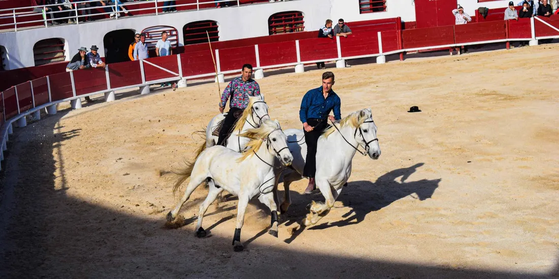 Feria de Palavas