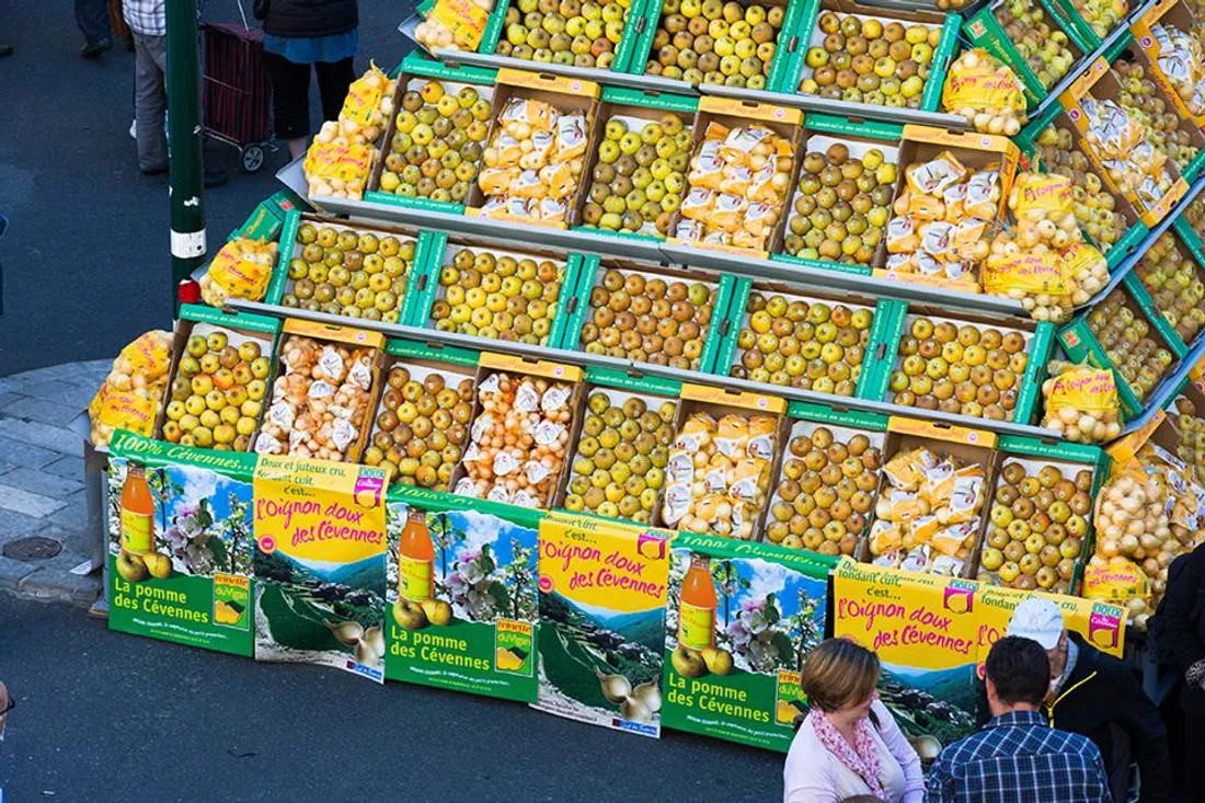fete des oignons doux du vigan