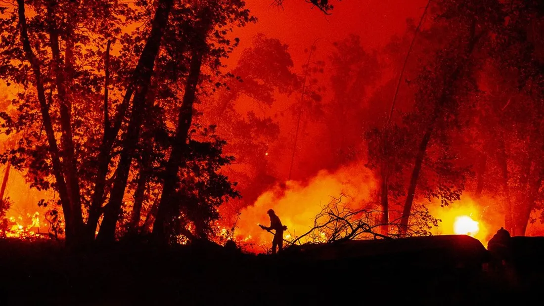 1100 hectares avaient brûlé en juin 2022 à Opoul.