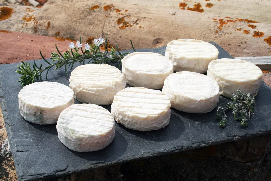Pélardon