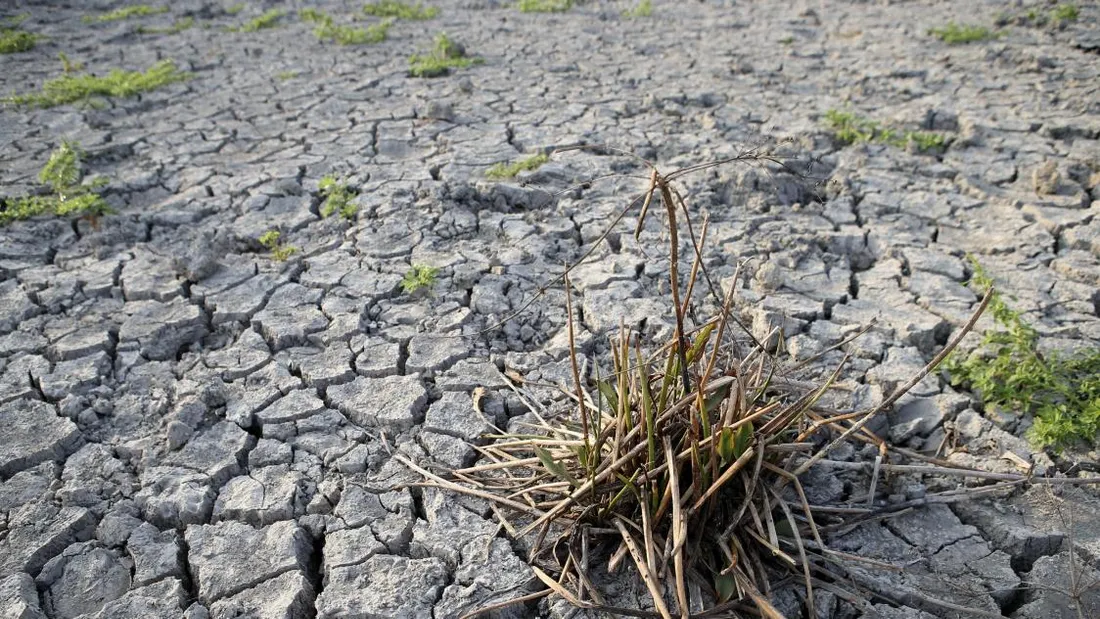 La sécheresse perdure depuis deux ans dans les Pyrénées-Orientales.