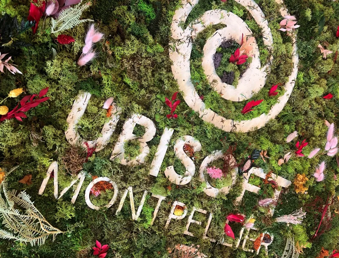 Ubisoft-Montpllier