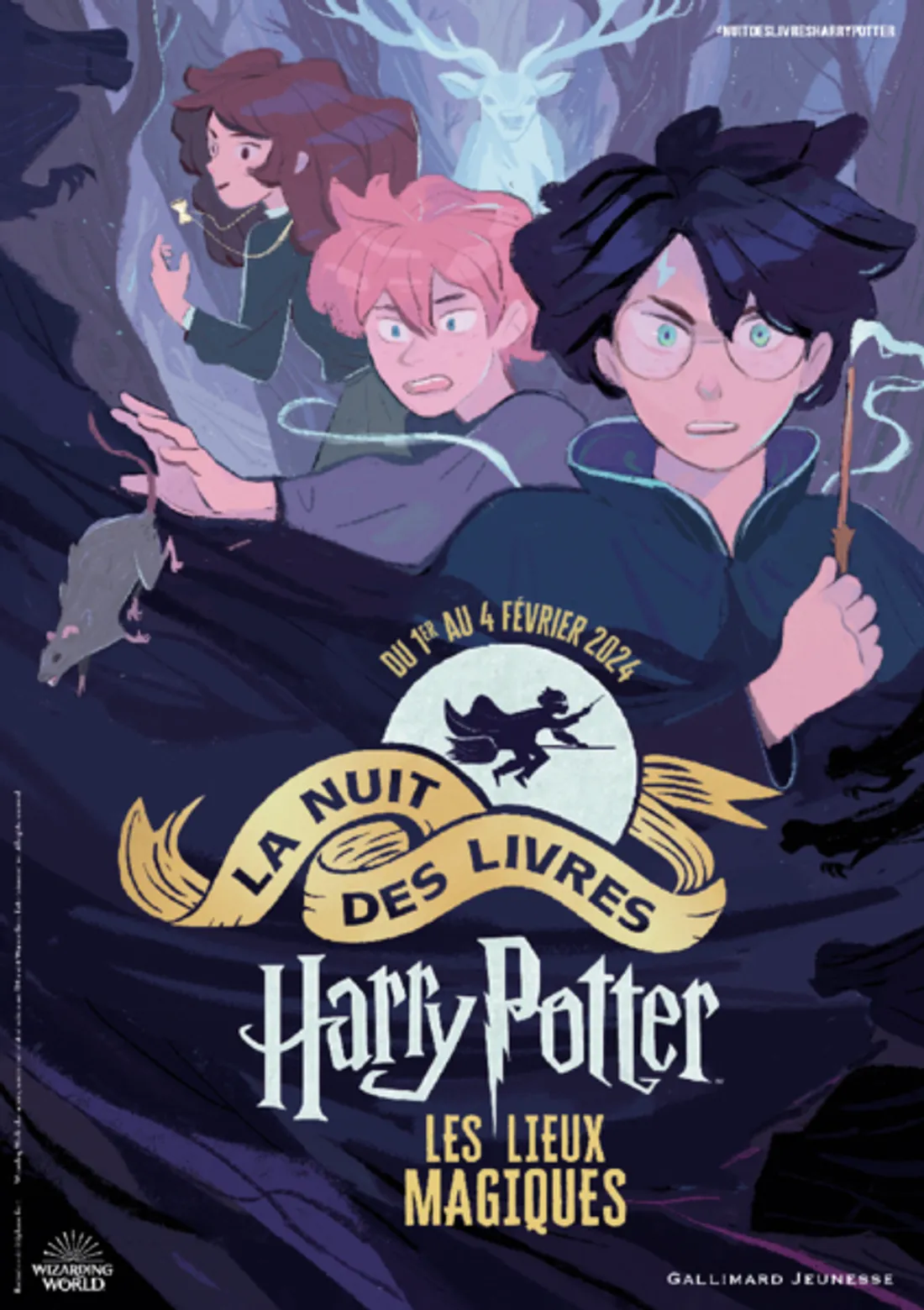 Harry Potter : Livres et Baguettes Harry Potter