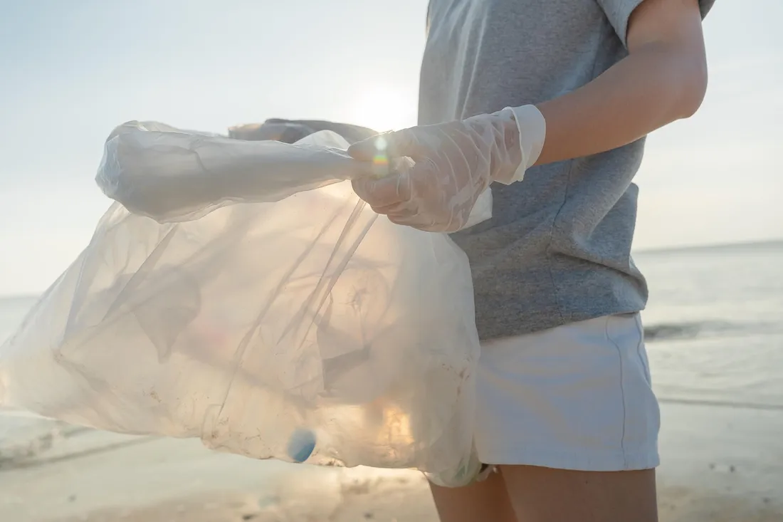 World Clean up day 2025
