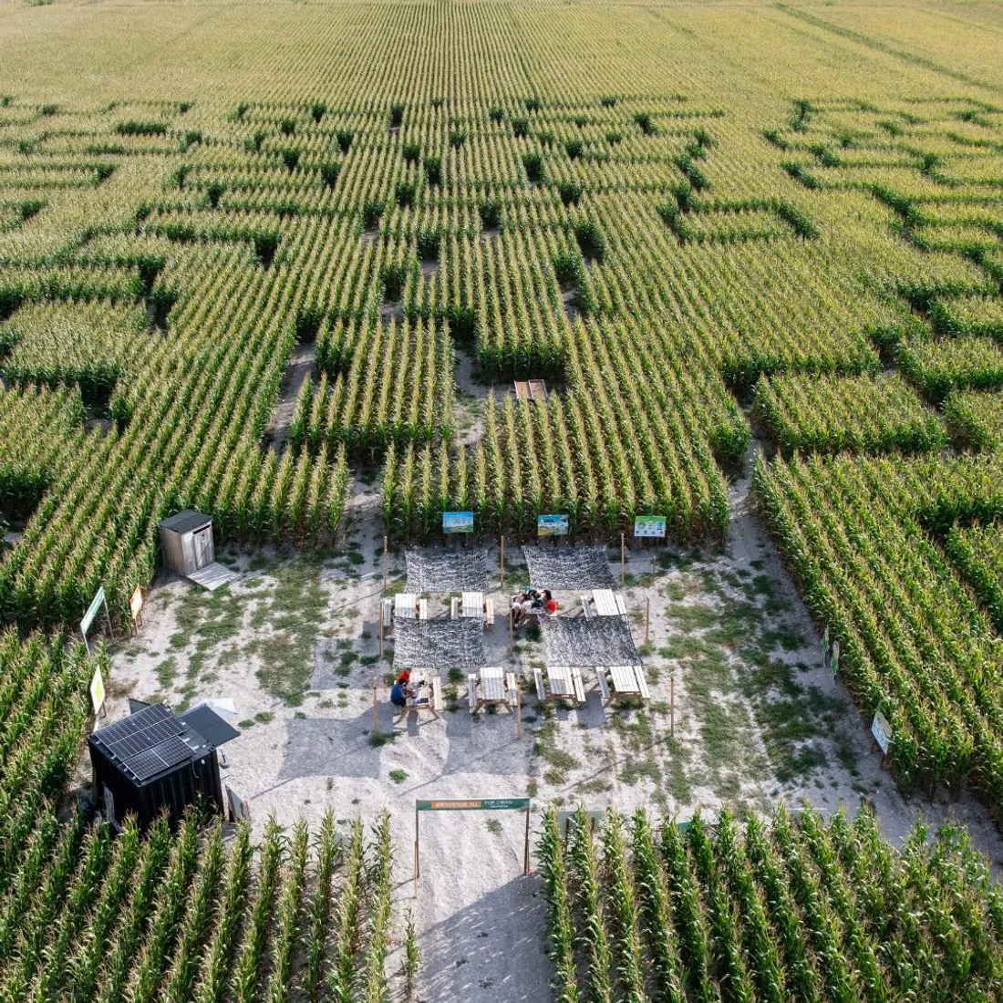 Un nouveau Pop Corn Labyrinthe ouvre à La Chapelle d'Armentières