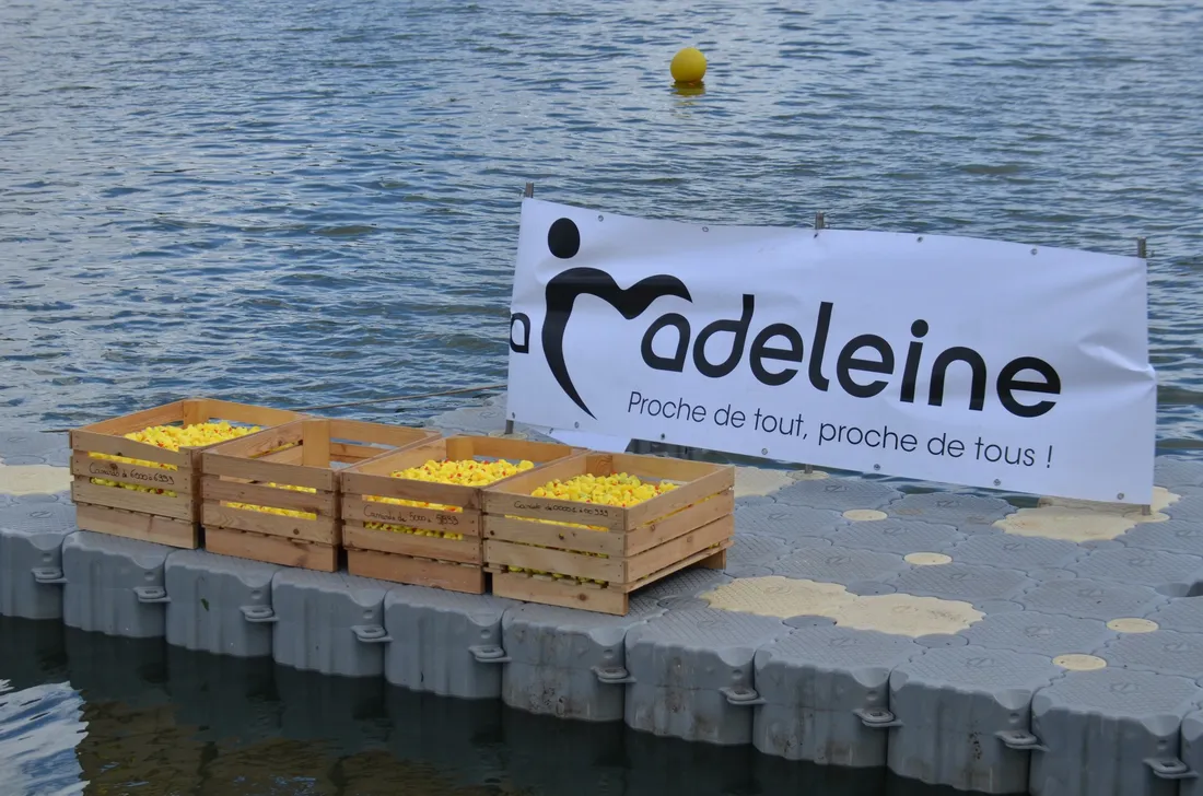 La 4ème édition de la Duck Race est organisée à La Madeleine