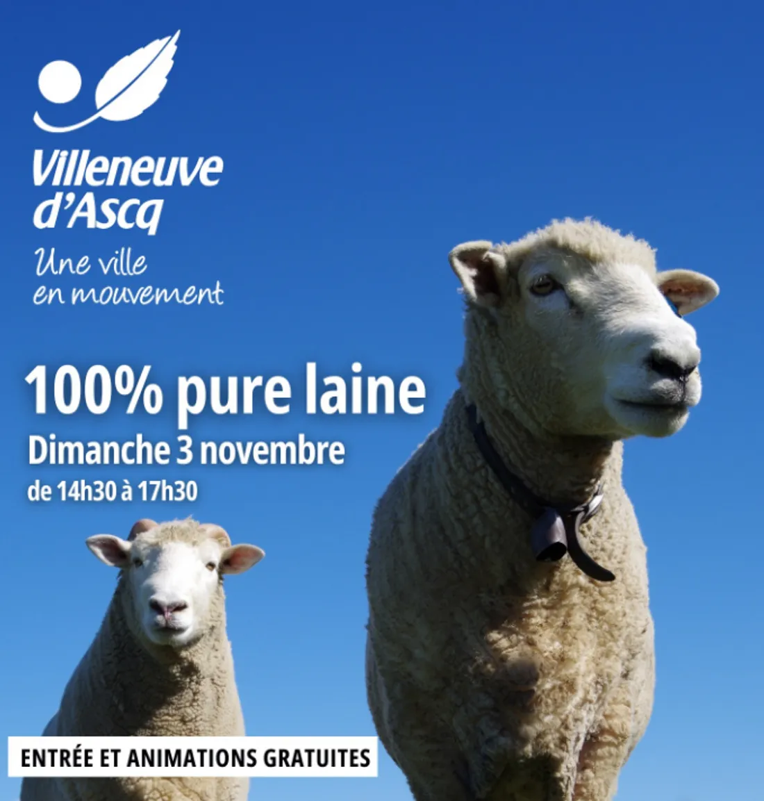 La laine à l'honneur au Musée du Terroir ce dimanche