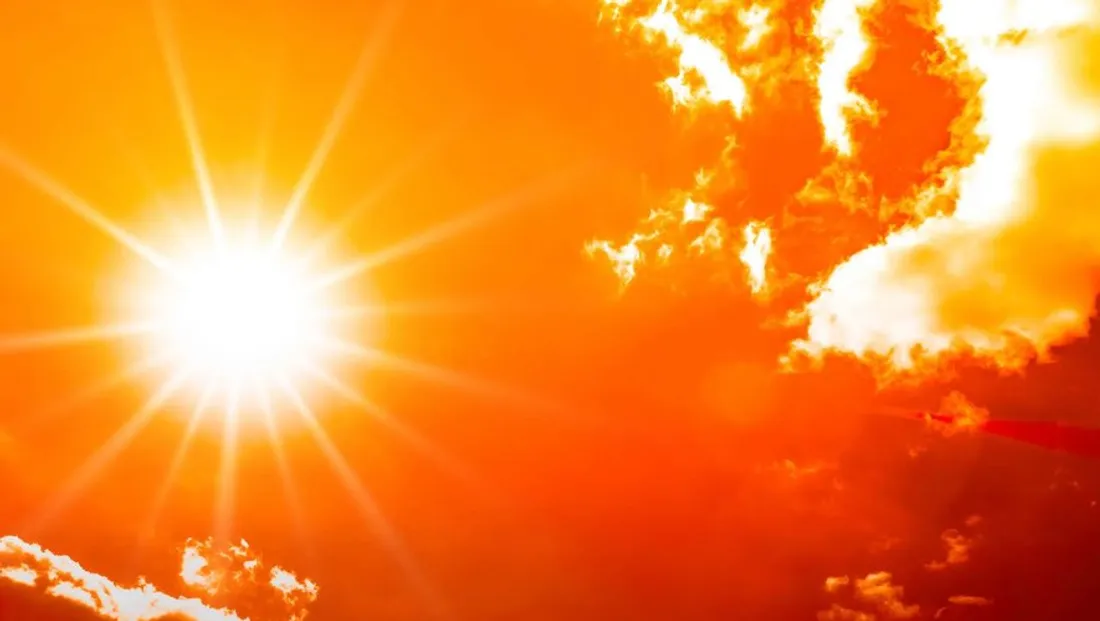 canicule