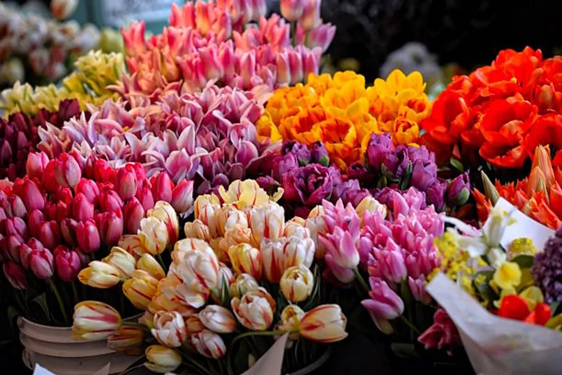 fleurs