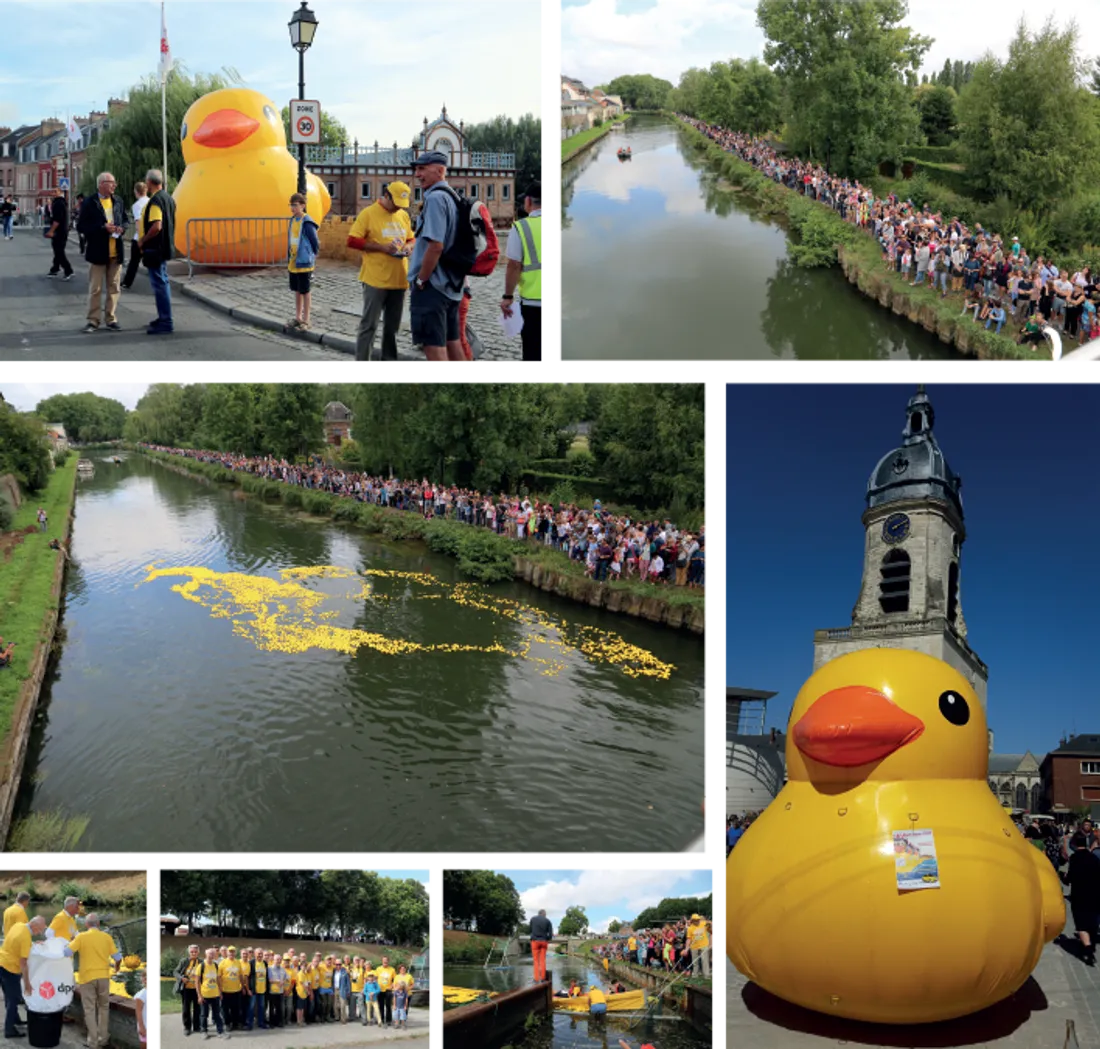 La Duck Race de retour ce samedi à Amiens