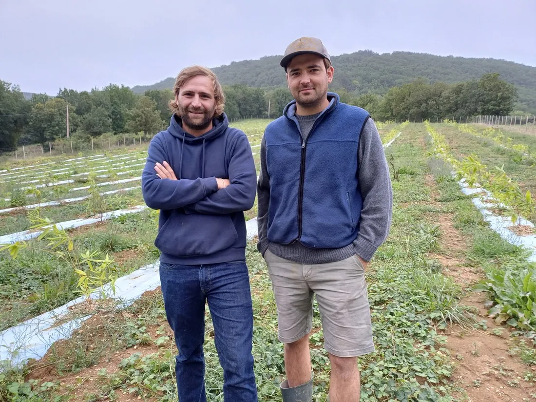 Mathis Du Verne et Thomas Mignon, fondateurs de France Bamboo.