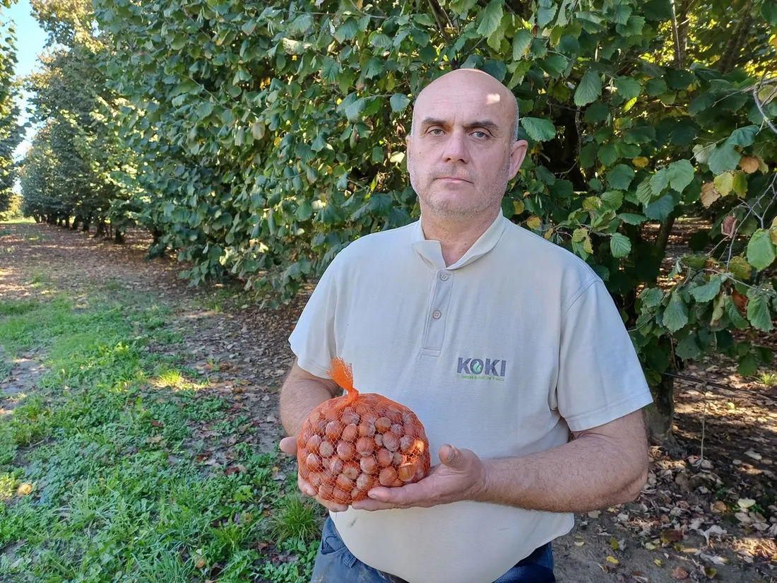 Thierry Descazeaux producteur de noisettes à Mas-Grenier (Tarn-et-Garonne) et président d'Unicoque.