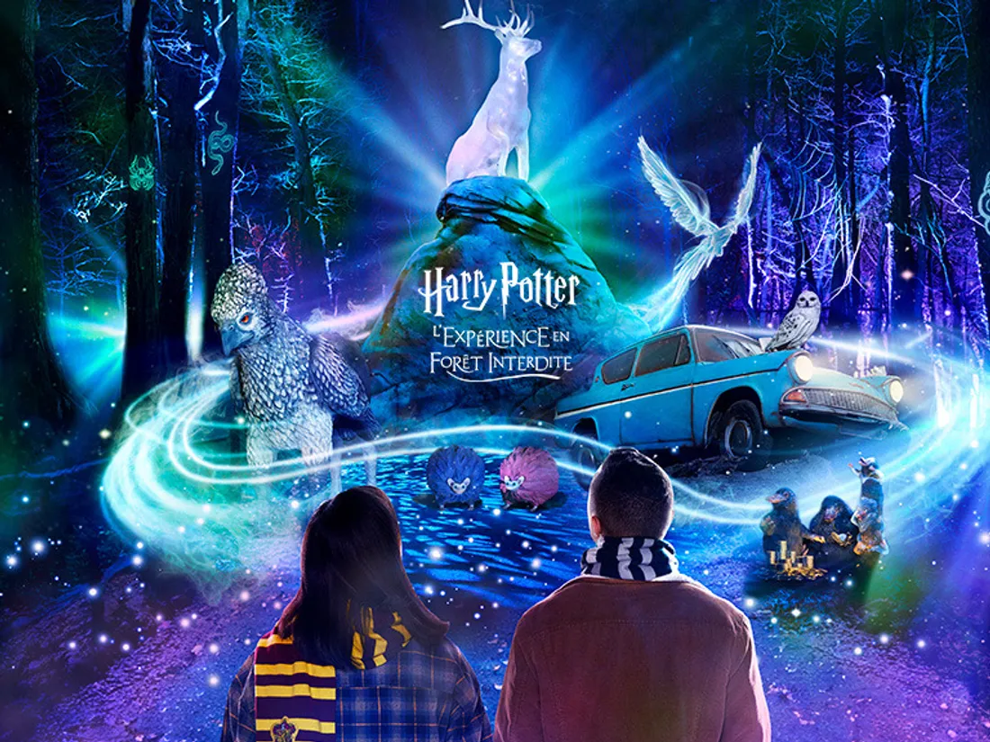 "Harry Potter : L'Expérience en Forêt Interdite" bientôt à Montauban