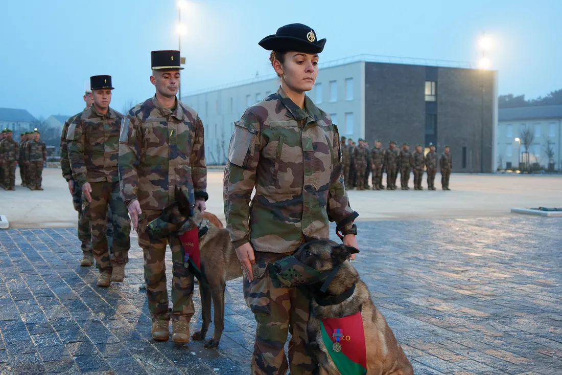 Chiens et Maîtres Chiens sont des éléments à part entière du régiment