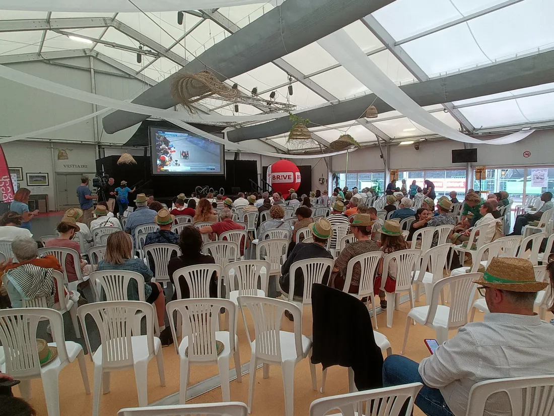 La Fan Zone de Mathieu Bosredon