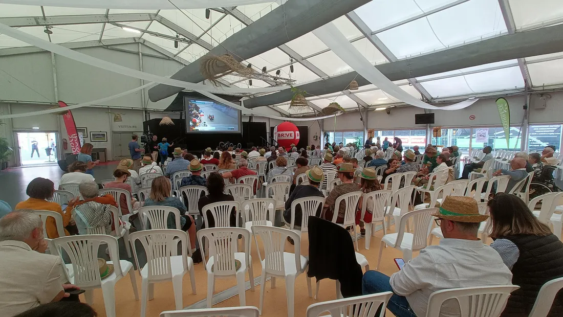 La Fan Zone de Mathieu Bosredon