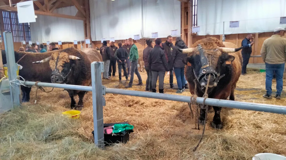 Le rendez-vous avait lieu à Aumont-Aubrac