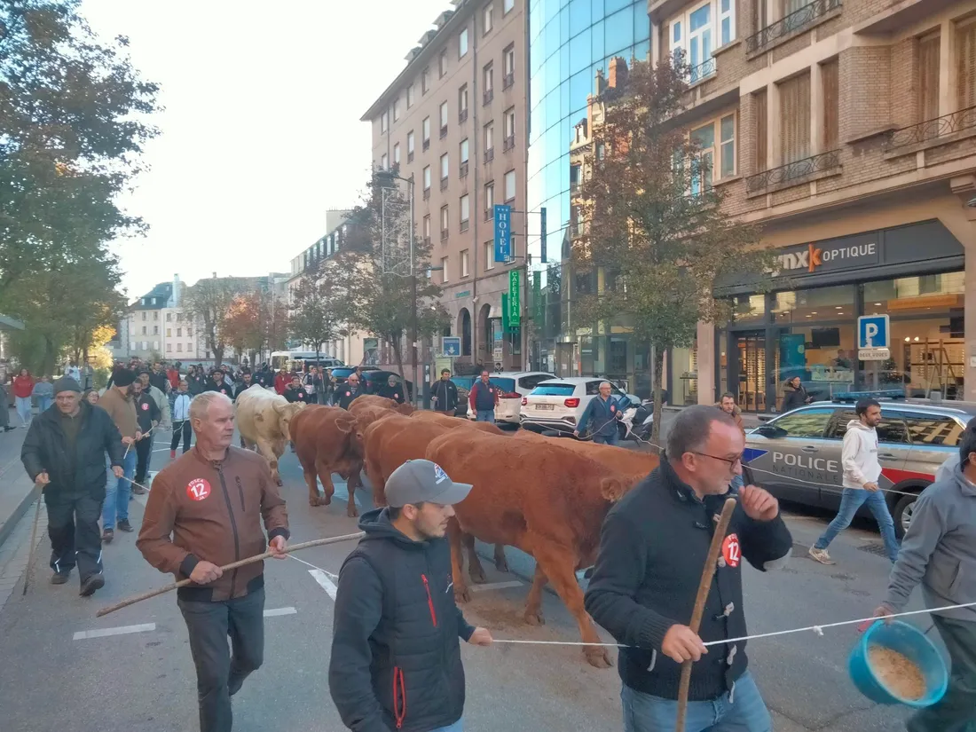 Mobilisation des agriculteurs le 27-11-24 à Rodez (Aveyron).