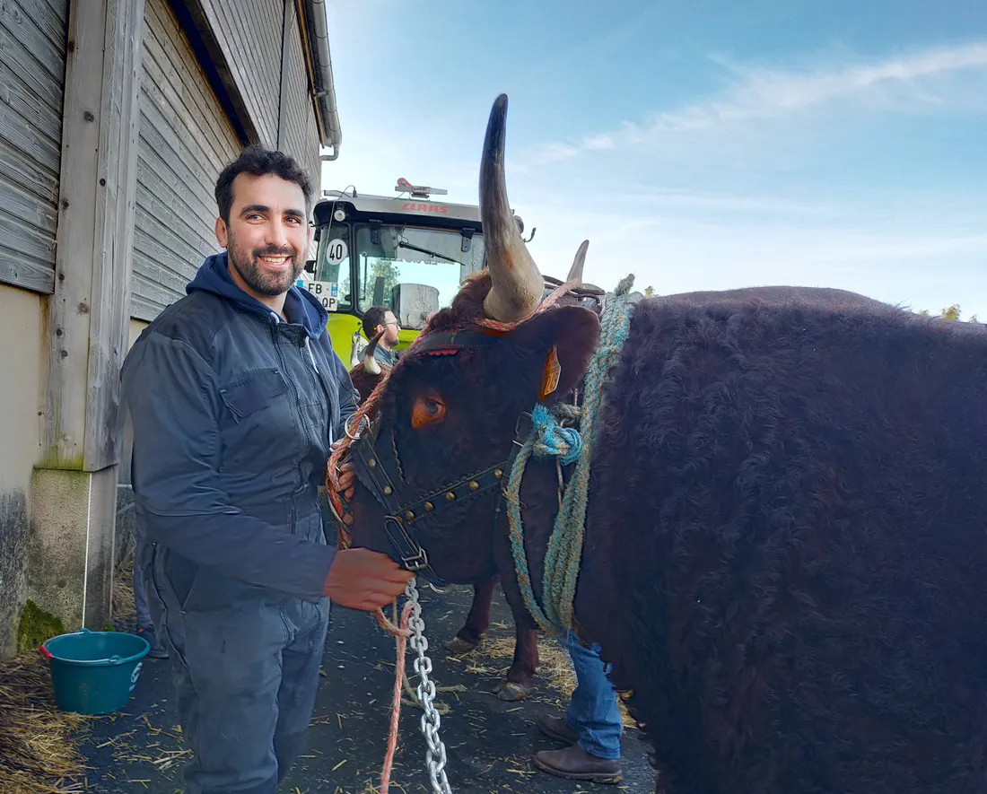 Les animaux  au salon de l'agriculture 2025