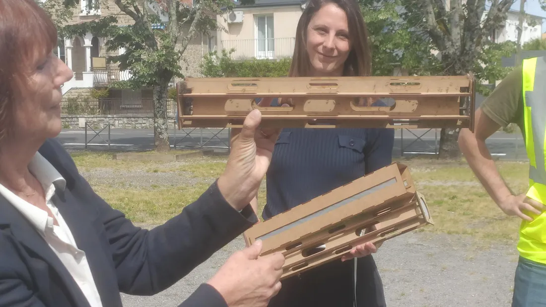 Lâcher de moustiques dans les rues de Brive