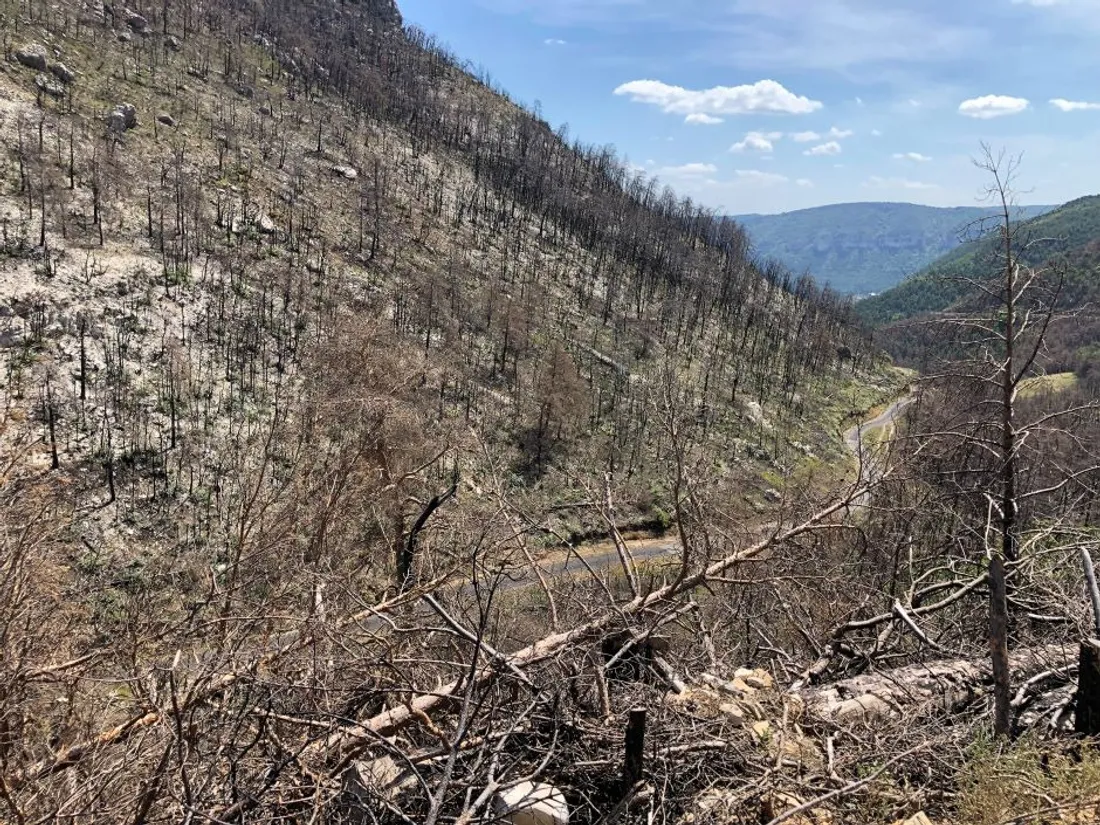 Incendie de Mostuéjouls, un an après