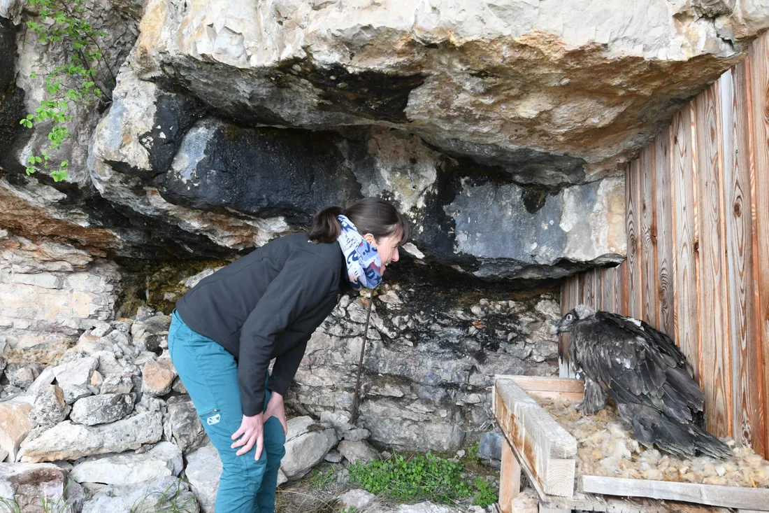 C'est dans une cavité rocheuse qu'elles ont été installées