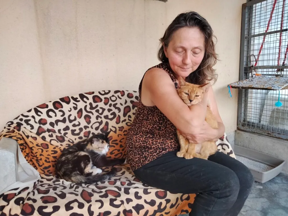 Nathalie Escoute, bénévole au refuge du Ramier, avec Nougatine, le chat le plus âgé du refuge