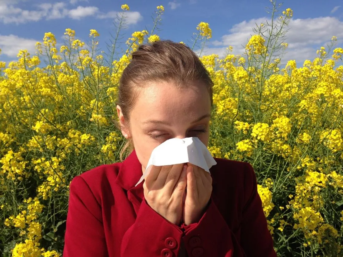 Allergie au pollen (illustration)
