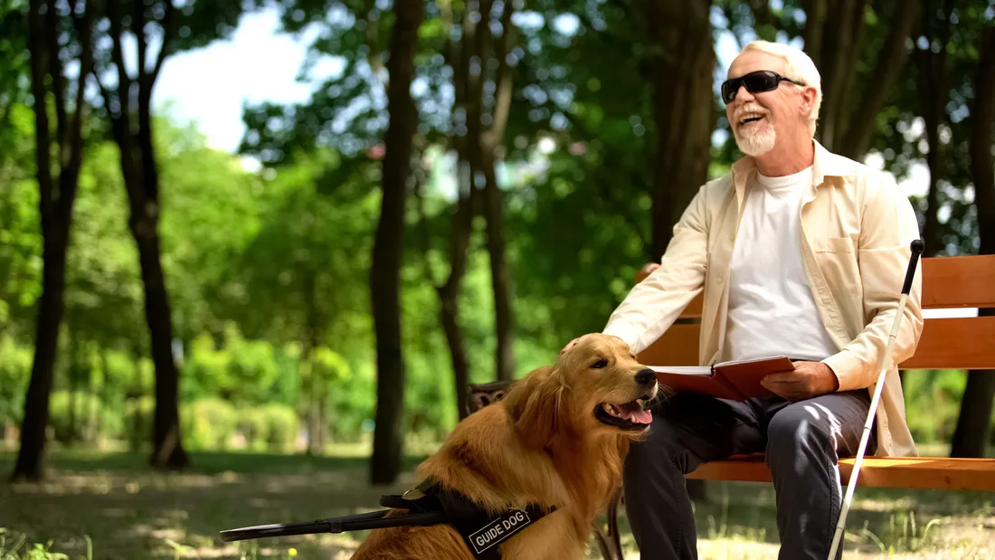Image d'illustration, d'une personne aveugle avec son chien