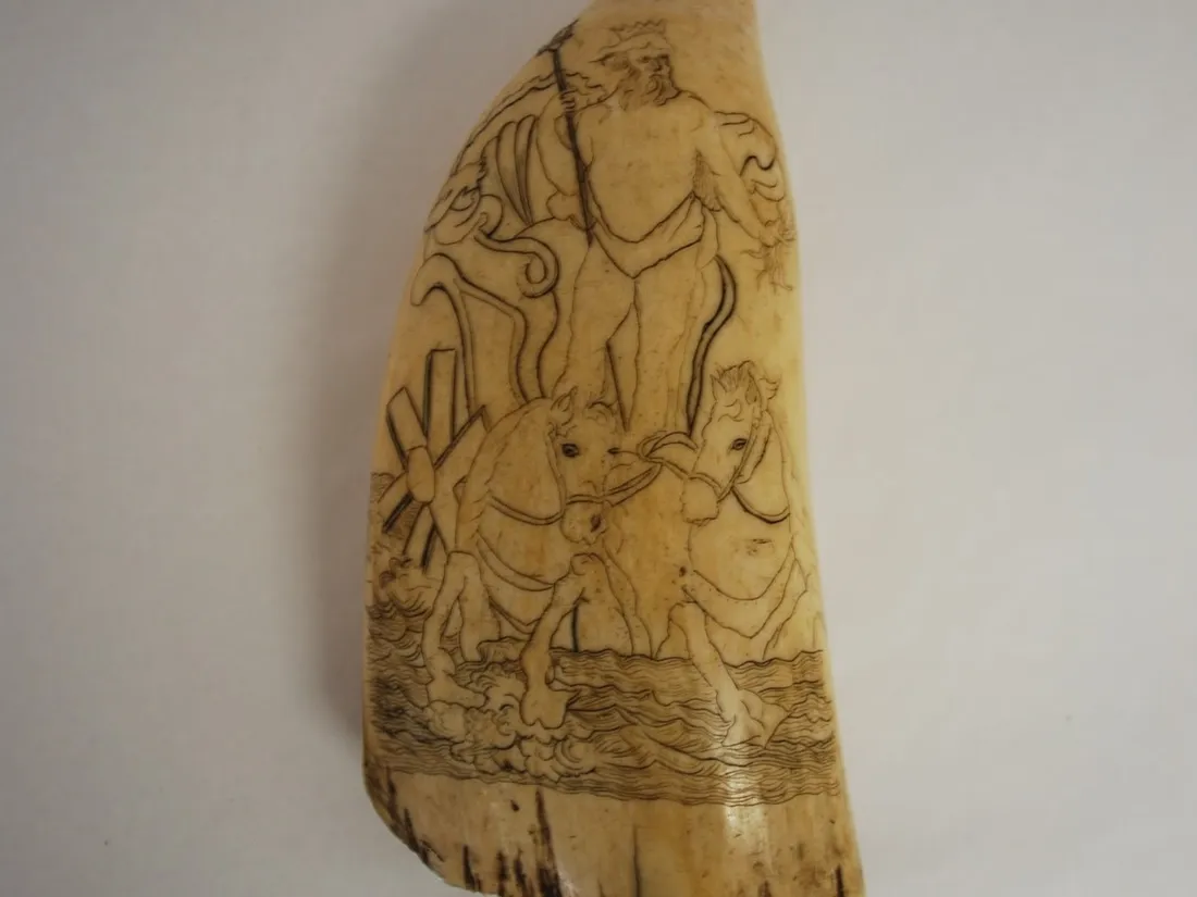 Dent de cachalot du musée de Guérande