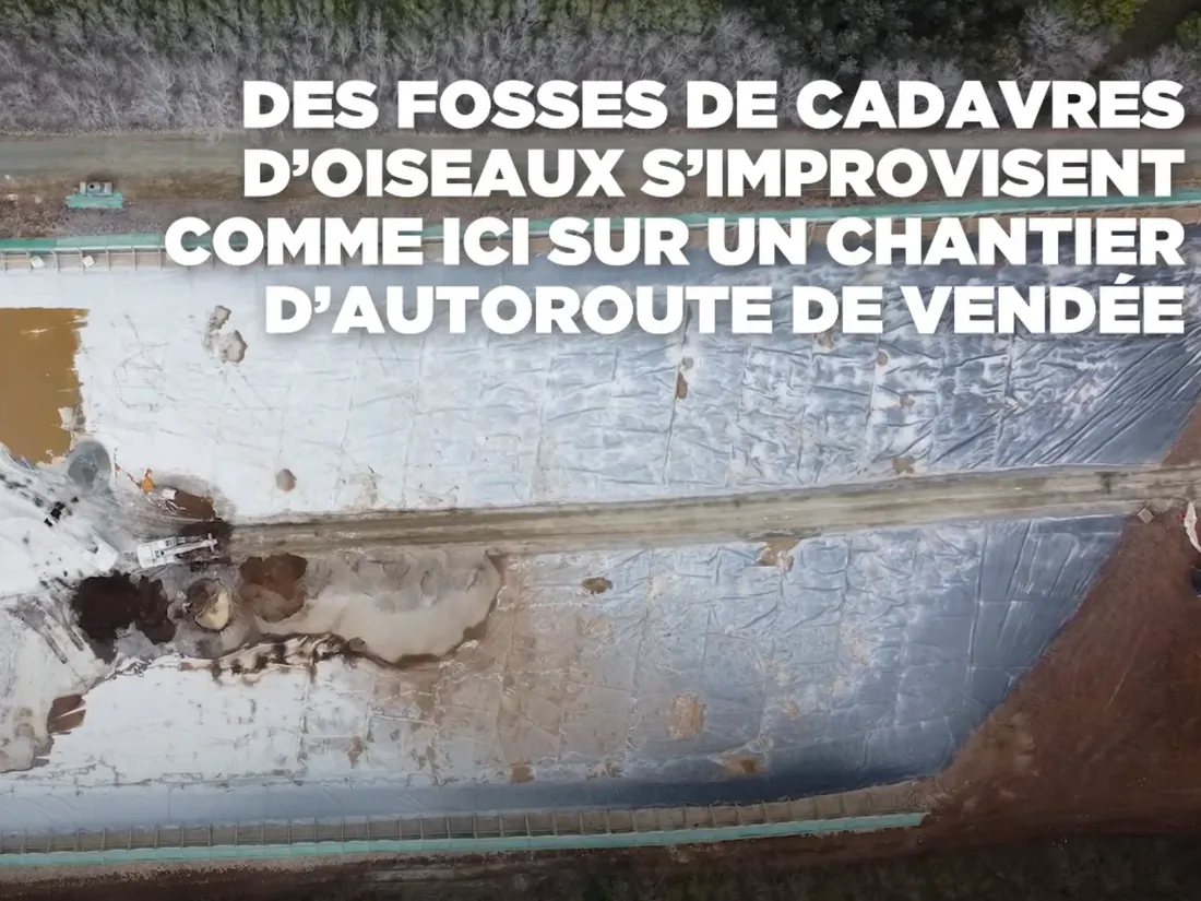 Vidéo de L214