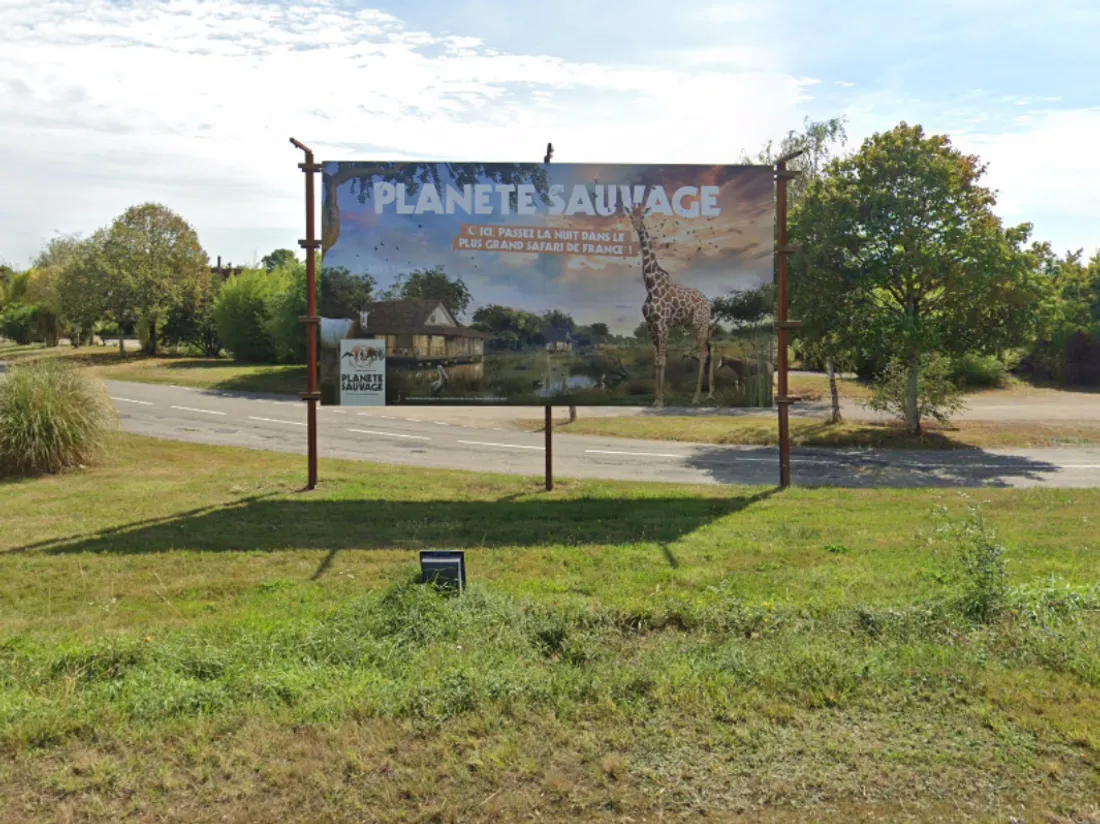 Planète Zoo, capture d'écran