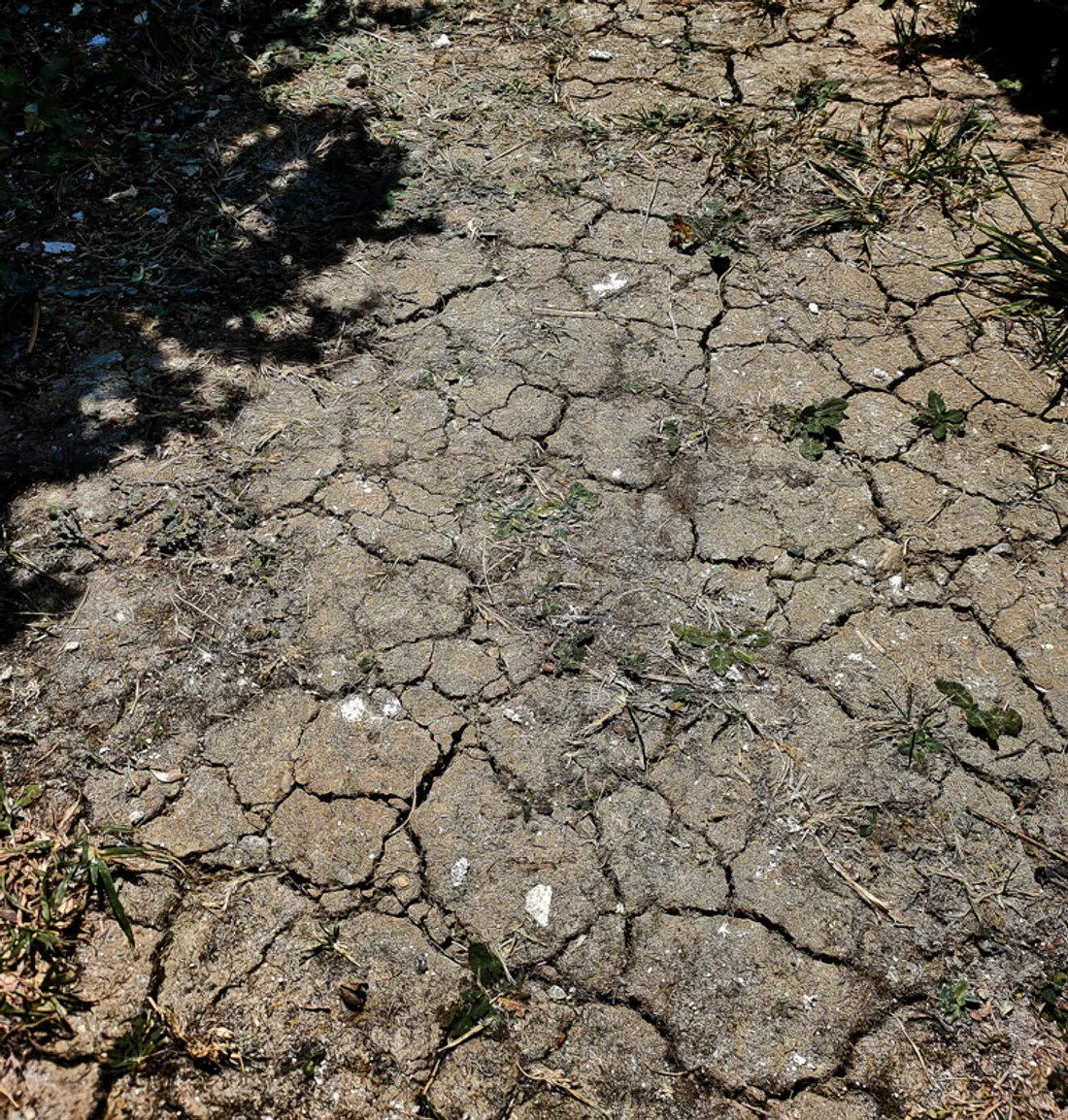Un sol complètement craquelé par la sécheresse, illustration