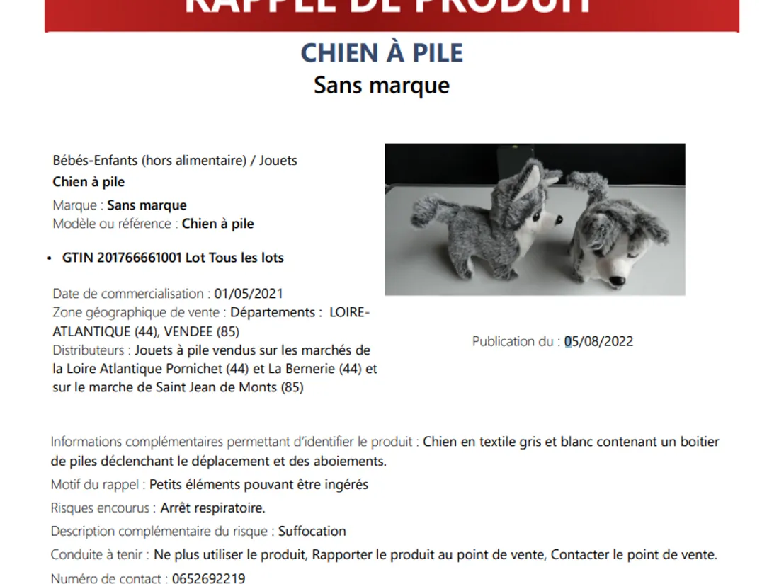 La fiche de rappel, capture d'écran