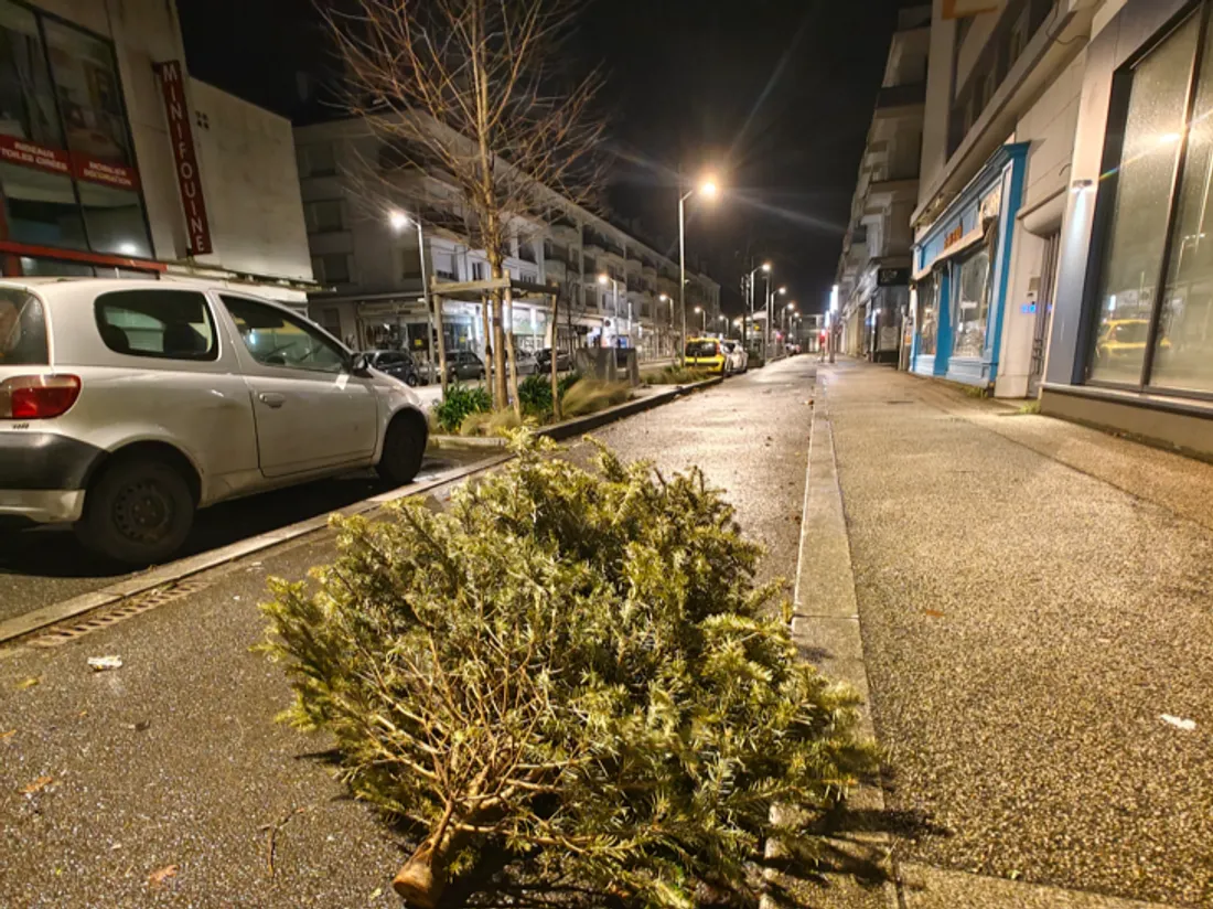 Un sapin abandonné a été poussé sur une route à Saint-Nazaire, illustration