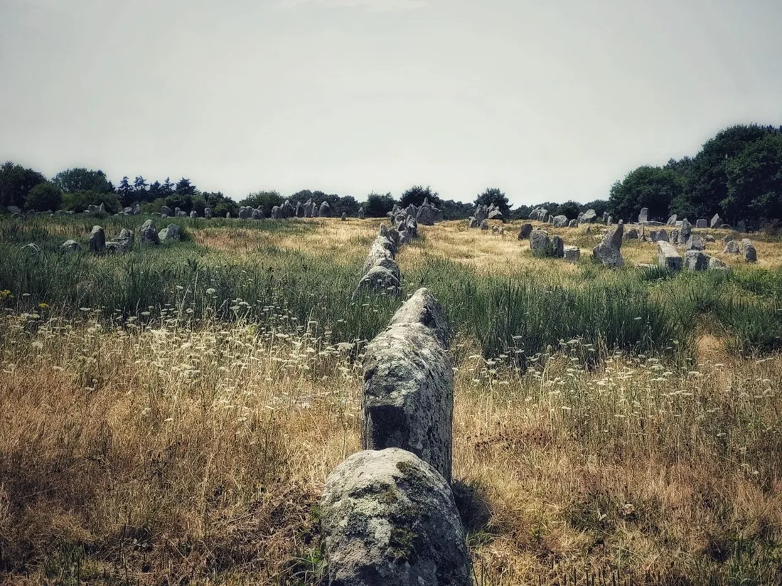 Un alignement de menhirs à Carnac, illustration
