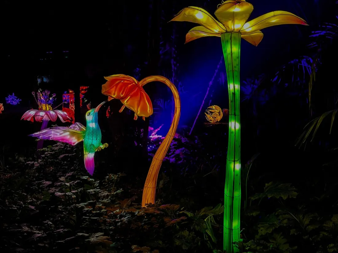 odysée lumineuse