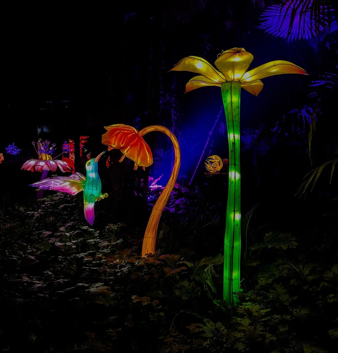 odysée lumineuse