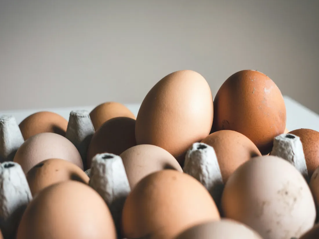 Oeufs