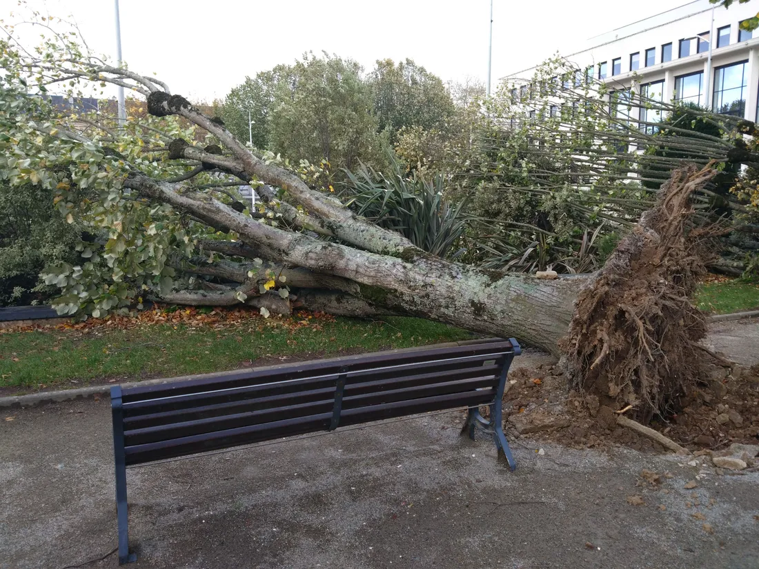 Les dégâts de la tempête Ciaran à Saint-Nazaire, le 2 novembre 2023