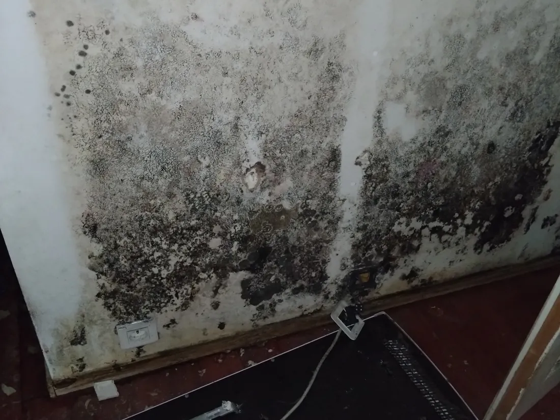 Des moisissures dans la partie inhabitable de l'appartement d'Arnaud Dauvé