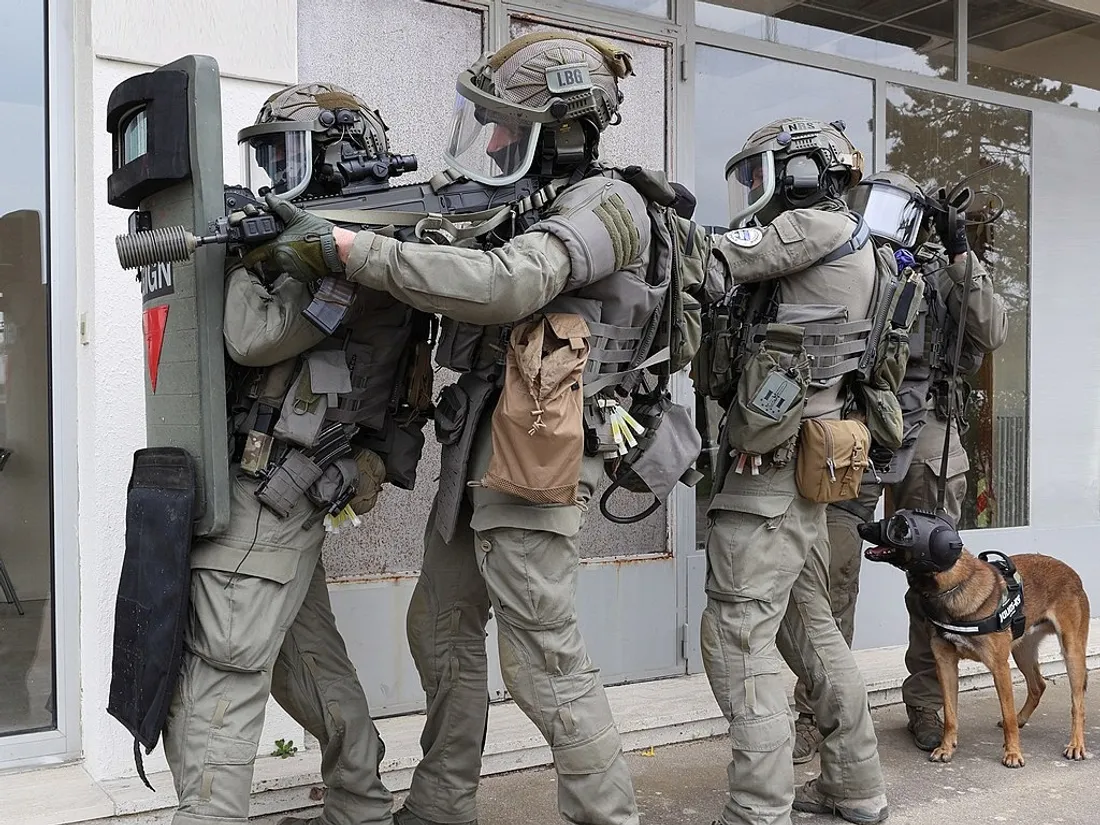 Une colonne d'assaut du GIGN (image d'illustration)